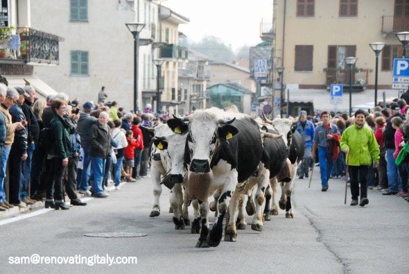 living italy